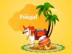 Pongal 2022: Why Is Pongal Festival Celebrated? Know The History And Importance