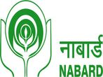 NABARD Officer Recruitment 2022 Notification For 170 Assistant Manager (Grade A) Posts, Apply Before August 7