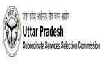 UPSSSC Recruitment 2022 For 2693 Mukhya Sevika Posts. Check Notification, Application Details On upsssc.gov.in UPSSSC Recruitment 2022 For 2693 Mukhya Sevika Posts. Check Notification, Application Details On upsssc.gov.in