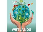 World Wetlands Day 2023: Date, History, Theme and Significance World Wetlands Day 2023: Date, History, Theme and Significance