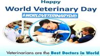 World Veterinary Day World Veterinary Day