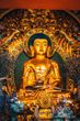 Buddha Purnima 2023:Date, History, Significance, When is Buddha Purnima, What is the Importance of the Day?