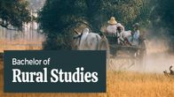 BA in Rural Studies: Scope, Best Colleges, and Admission Details