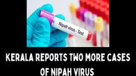 Nipah Virus: Schools, Colleges Shut Till September 24 in Kozhikode, Kerala on Alert