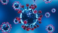 Coronavirus variant JN.1: All you need to know Coronavirus variant JN.1: All you need to know