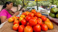 Look Back 2023: Tomato Prices Soared by 700% - Know the Scientific Reason Look Back 2023: Tomato Prices Soared by 700% - Know the Scientific Reason