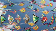 International Kite Day; Everything you need to know