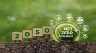 Net Zero by 2050: A Feasible Goal or a Greenwashing Slogan?