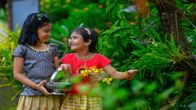 Essay on Onam: 150 Words Essay for Students on Kerala’s Colorful Harvest Festival