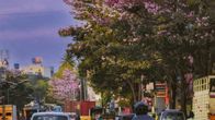 How is Life in Bangalore City for Students?