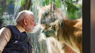 PM Modi’s Thrilling Lion Safari at Gir: A Roaring Tribute to Wildlife Conservation on World Wildlife Day