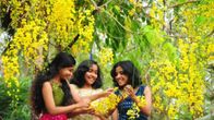 50+ Heartfelt Vishu Wishes to Share with Your Loved Ones 2025