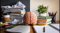 Stop Believing These Brain Myths: The Real Science Behind Student Success and Memory