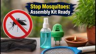 Beat the Monsoon: World Mosquito Day 2026 Assembly Kit, GK Quiz, and Prevention Tips