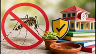World Mosquito Day 2026: Vital Dengue Prevention Tips for Safer Schools