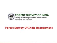 Forest Survey Of India Recruitment: FSI देहरादून में कई पदों पर निकली भर्ती, जानिए आवेदन प्रक्रिया