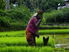 Rural Management: जानिए रुरल मैनेजमेंट में करियर, कोर्स, सैलरी, संस्थान और जॉब की संभावनाएं
