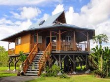 VNIT ने की घोषणा, आर्किटेक्चर सिलेबस में बांस सामग्री एवं प्रौद्योगिकी कोर्स शामिल, जानिए फायदे