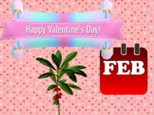 February Important Days 2022 फरवरी महीने में आने वाले महत्वपूर्ण दिनों की लिस्ट