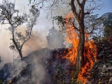  पर्यावरण पर जलावायु परिर्वतन का प्रभाव- World Environment day 2022