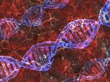 DNA Ka Full Form & Meaning Kya Hai: डीएनए प्रौद्योगिकी विनियमन विधेयक 