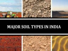 भारत में मिट्टी के प्रकार (How Many Types of Soil in India in Hindii)