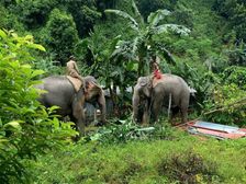 विश्व पर्यावरण दिवस 2022- World Environment Day in Hindi UPSC