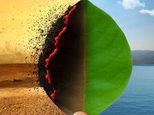 जलवायु परिवर्तन: हीट वेव रोकने के लिए उठाने होंगे बड़े कदम, रोज टूट रहे रिकॉर्ड