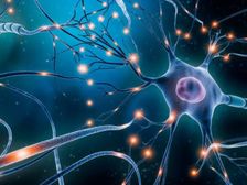 एमओटी न्यूरोसाइंस में करियर (Career in MOT Neurosciences After Graduation)