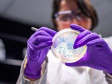 पोस्ट ग्रेजुएट डिप्लोमा इन माइक्रोबायोलॉजी (Career in PG Diploma in Microbiology)