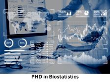 बायोस्टेटेटिक्स केमिस्ट्री में पीएचडी कैसे करें (Career in PHD Biostatistics)