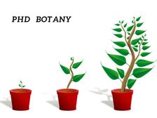 बॉटनी में पीएचडी कैसे करें (Career in PHD Botany)