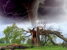 पोस्ट ग्रेजुएट डिप्लोमा इन डिजास्टर मैनेजमेंट में करियर (Career in PG Diploma in Disaster Management)