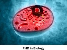 बायोलॉजी में पीएचडी कैसे करें (Career in PHD Biology)