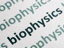 बायोफिजिक्स में पीएचडी कैसे करें (Career in PHD Biophysics)