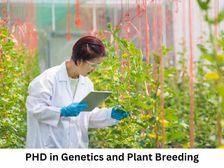 जेनेटिक्स एंड प्लांट ब्रीडिंग में पीएचडी कैसे करें (Career in PHD in Genetics and Plant Breeding)
