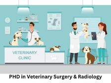 वेटरनरी सर्जरी एंड रेडियोलॉजी में पीएचडी कैसे करें (Career in PHD Veterinary Surgery & Radiology)