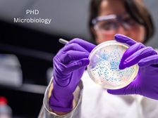 माइक्रोबायोलॉजी में पीएचडी कैसे करें (Career in PHD Microbiology)