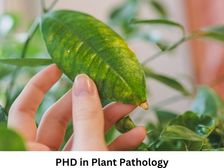 प्लांट पैथोलॉजी में पीएचडी कैसे करें (Career in PHD in Plant Pathology)