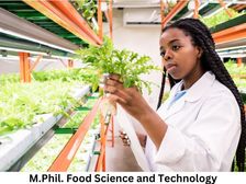 फूड साइंस एंड टेक्नोलॉजी में एम.फिल. कैसे करें (Career in M.Phil. Food Science and Technology)