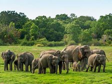 जूलॉजी में एम.फिल कैसे करें (Career in M.Phil Zoology)