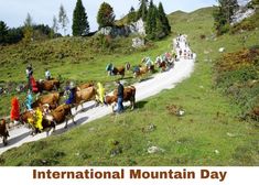 अंतर्राष्ट्रीय पर्वतीय दिवस 2022: जानिए अंतर्राष्ट्रीय पर्वतीय दिवस की थीम, टाइमलाइन और महत्व के बारे में