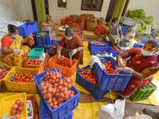 HPSC Recruitment 2023: हॉर्टिकल्चर डेवलपमेंट ऑफिसर के रिक्त पदों के लिए 24 फरवरी से होंगे आवेदन शुरू