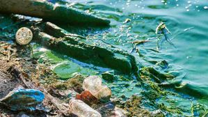 विश्व जल दिवस- नोटों की गड्डी होगी लेकिन वॉटर कैन में पानी नहीं 