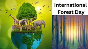 International Forest Day 2023: क्या है भारत में वनों की स्थिति, जानिए प्रमुख सरकारी योजनाओं के बारे में