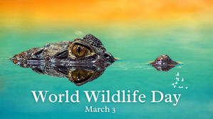 World Wildlife Day 2023: 3 मार्च को क्यों मनाया जाता है विश्व वन्यजीव दिवस