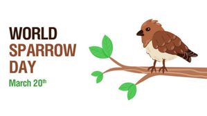 World Sparrow Day 2023: कब और क्यों मनाया जाता है विश्व गौरैया दिवस, जानिए थीम, इतिहास और महत्व के बारे में