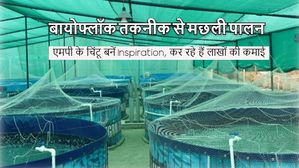 Inspiration: बायोफ्लॉक तकनीक से मछली पालन से 10 गुना बढ़ी चिंटू की आमदनी, इंप्रेस हुईं कलेक्टर
