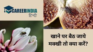 खाने पर बैठ जाये मक्खी तो क्या करें? पढ़ें सिडनी विश्‍वविद्यालय के रिसर्चर का जवाब