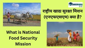 What is National Food Security Mission in Hindi: केंद्र सरकार लागू कर रही है राष्ट्रीय खाद्य सुरक्षा मिशन